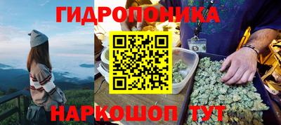 экстази Кингисепп