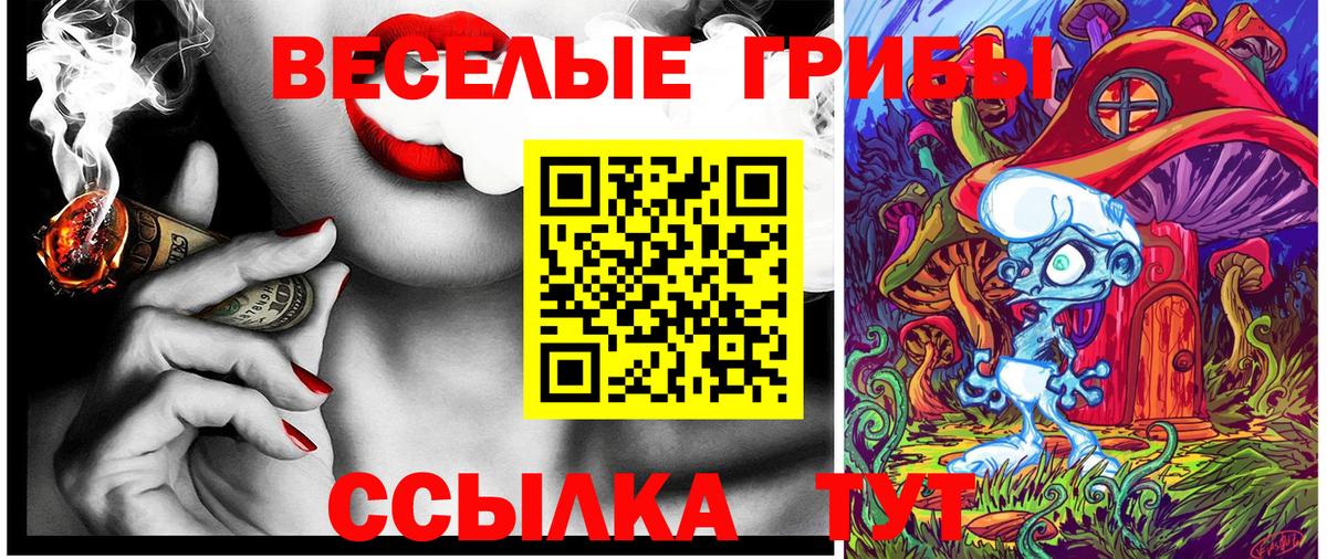 Галлюциногенные грибы Psilocybe Волхов