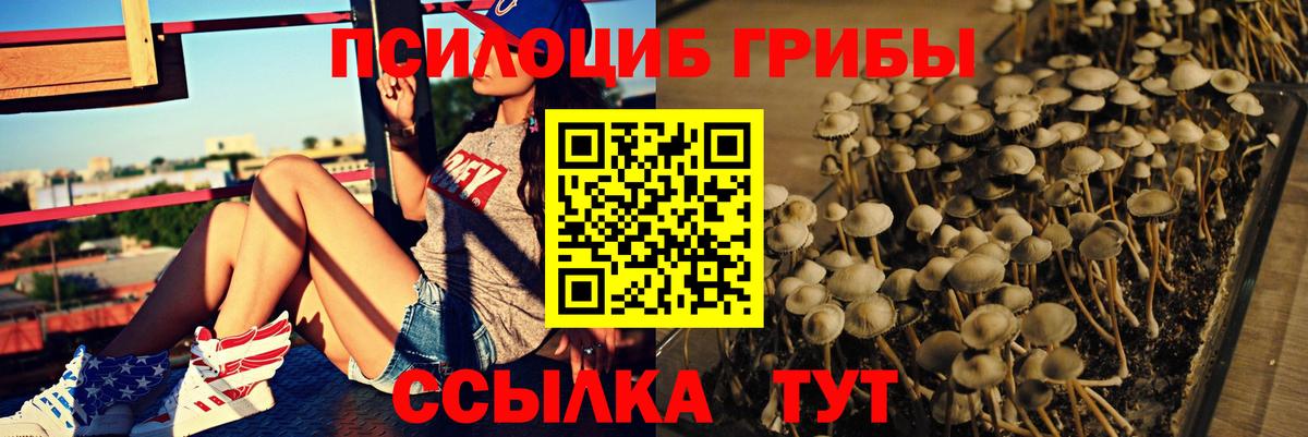 Галлюциногенные грибы Cubensis  Вход с VPN  Волхов 
