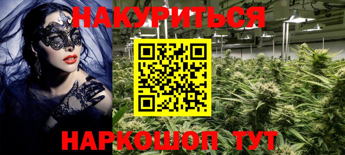Волхов  Канабис конопля  МАРИХУАНА OG Kush  Вход с VPN  Каннабис сатива 